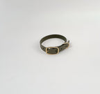 Classic Collar