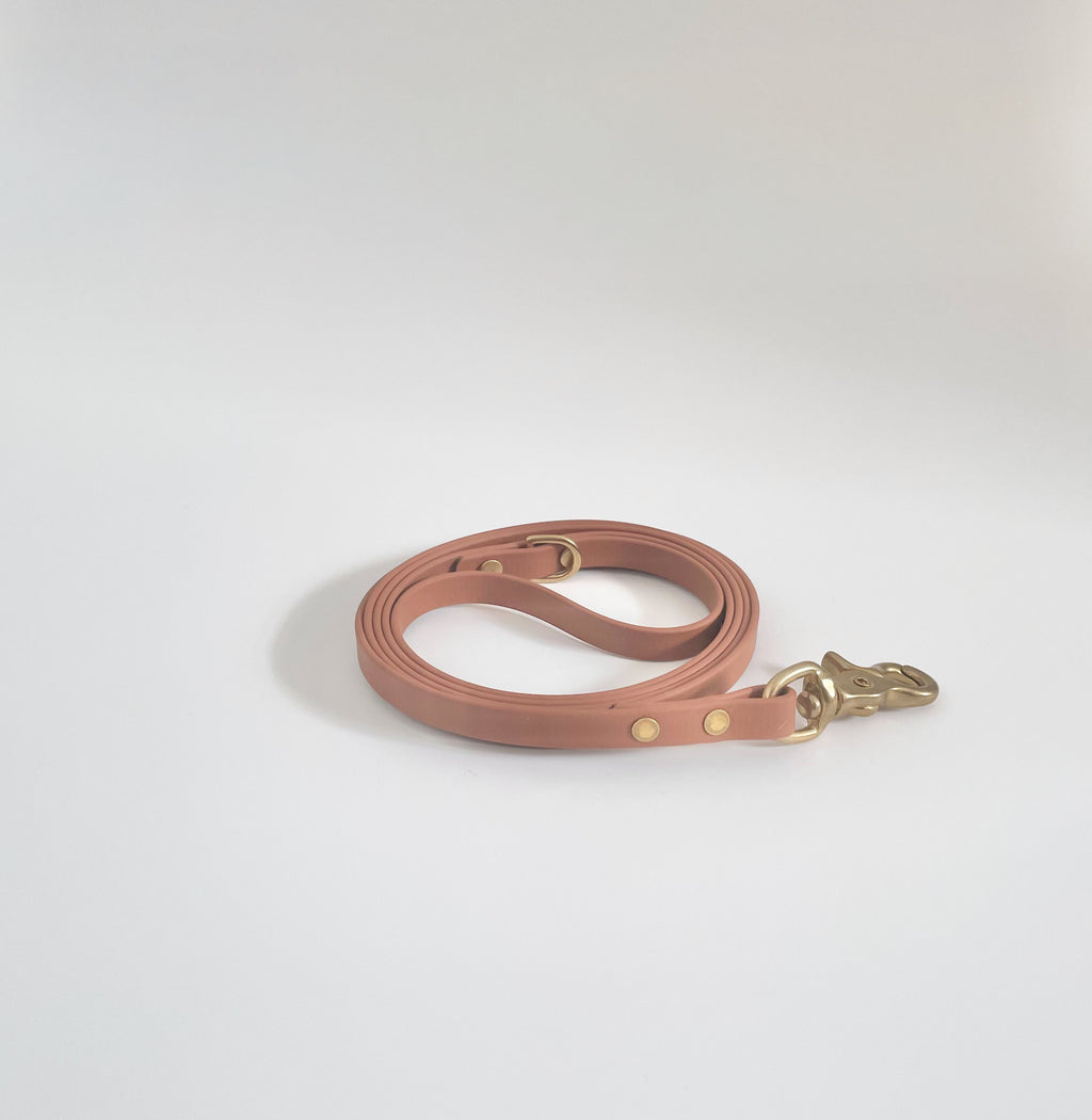 Thin Classic Leash