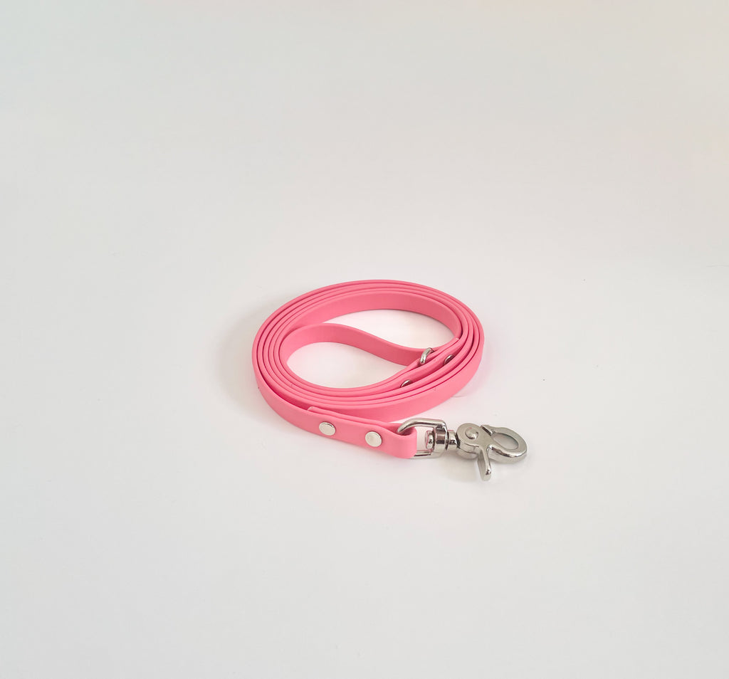 Thin Classic Leash