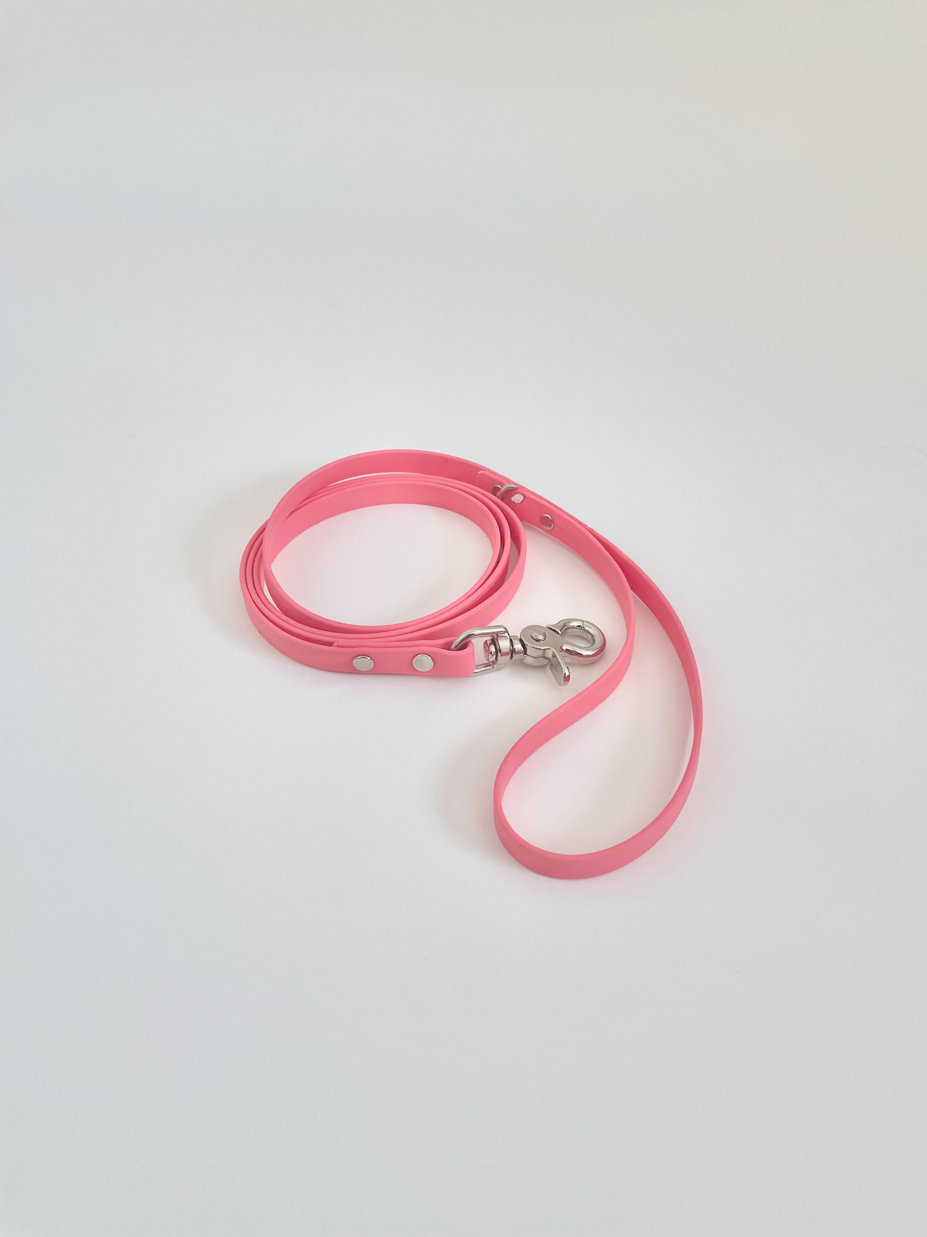 Thin Classic Leash