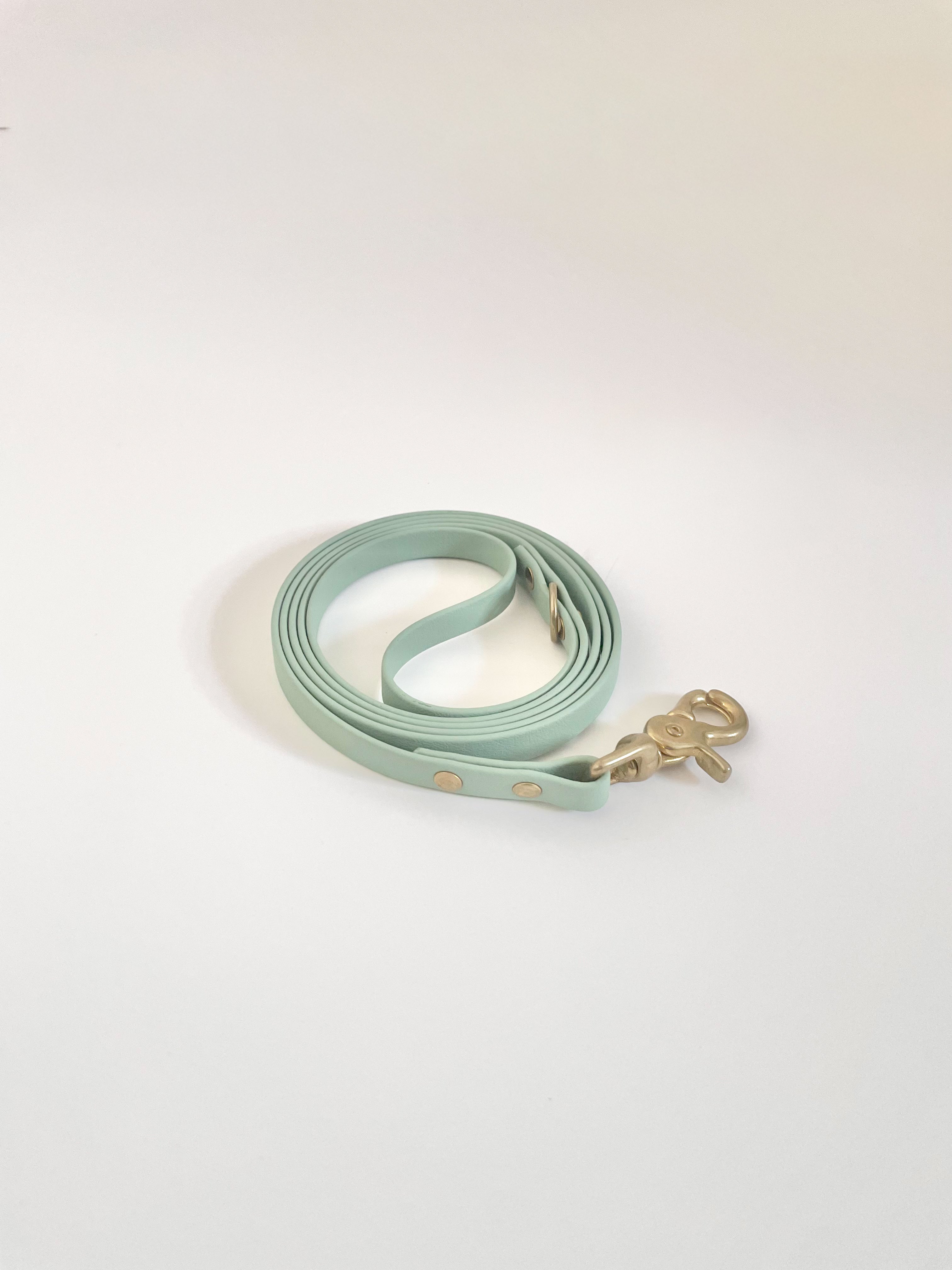 Thin Classic Leash