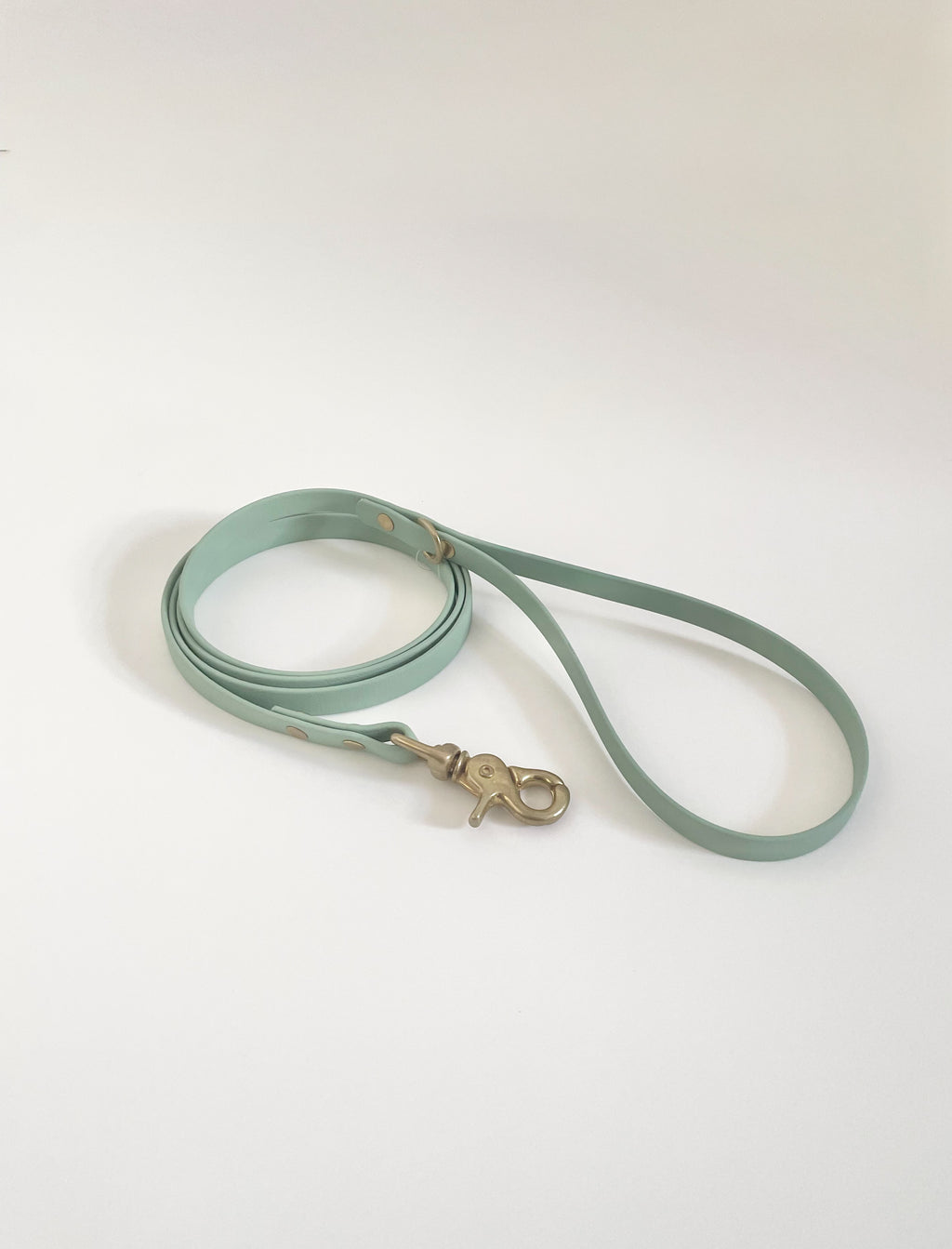 Thin Classic Leash