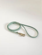 Thin Classic Leash