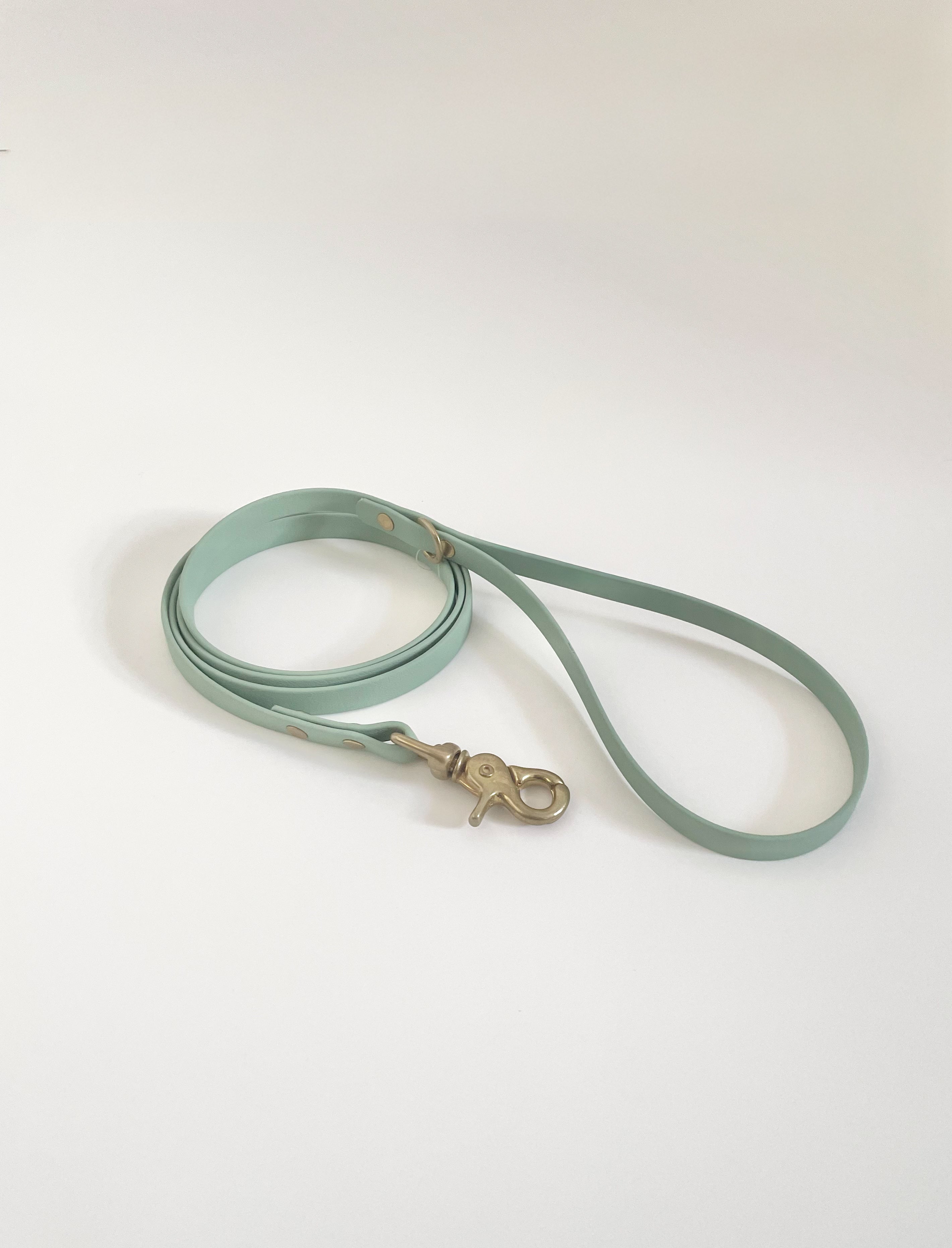 Thin Classic Leash
