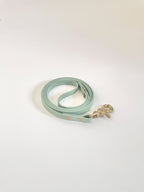 Classic Leash
