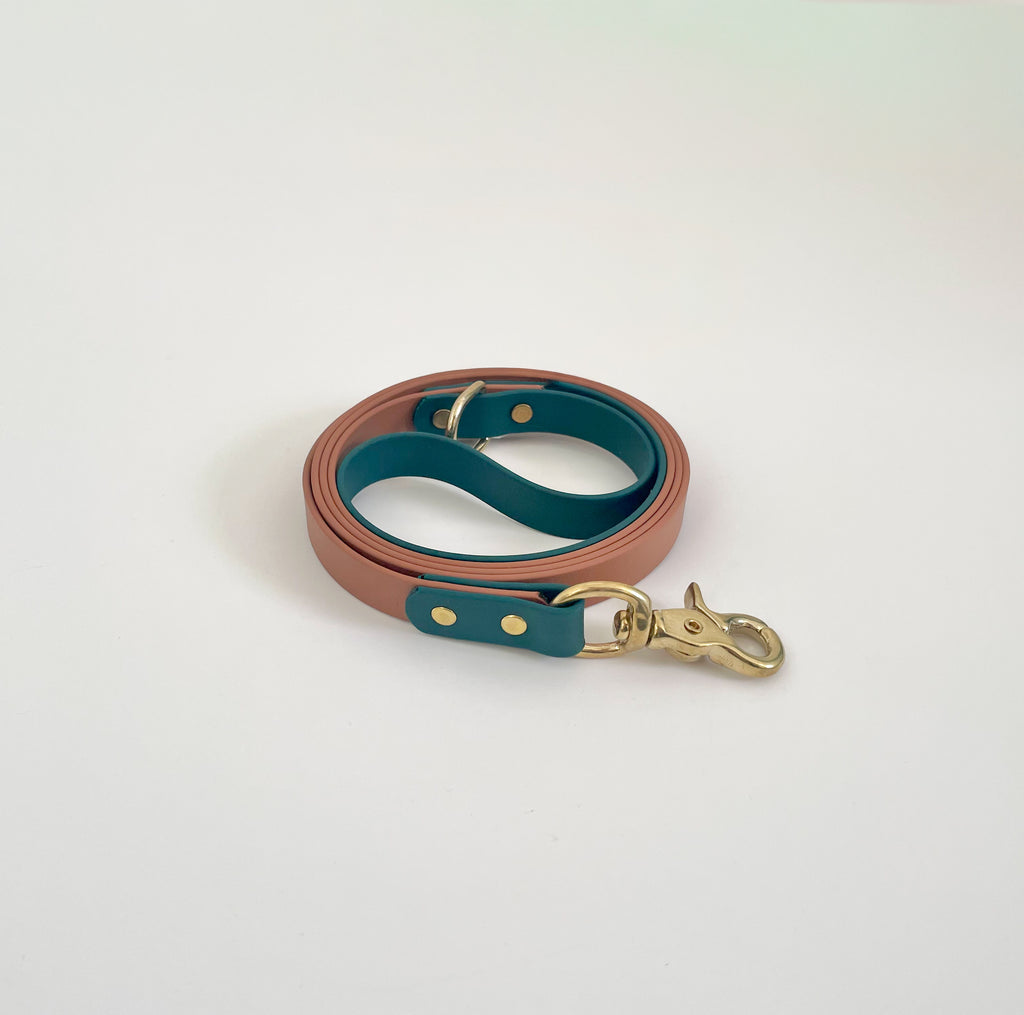 Custom Color Two Tone Classic Leash