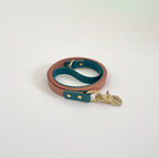 Custom Color Two Tone Classic Leash