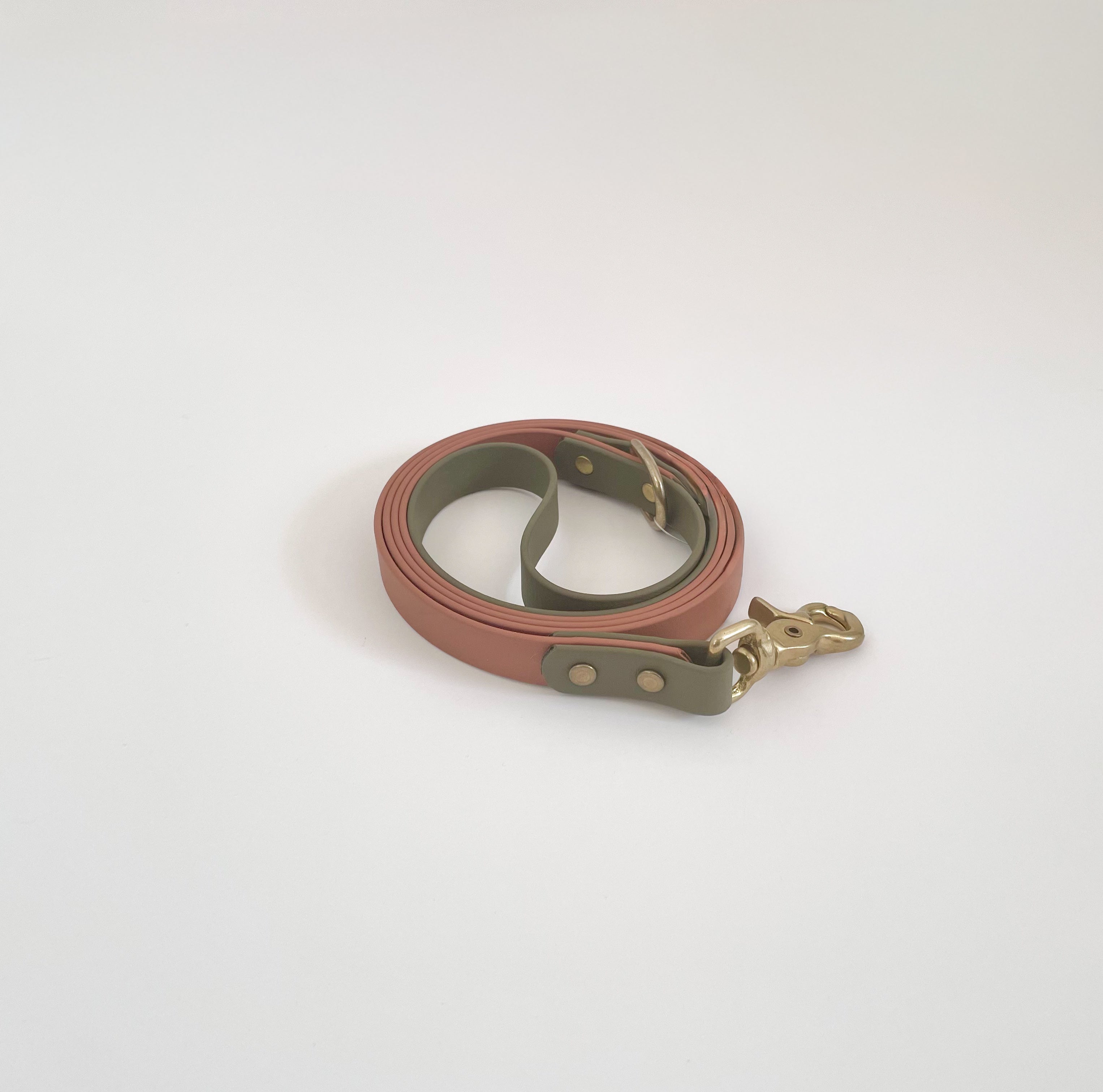 Custom Color Two Tone Classic Leash