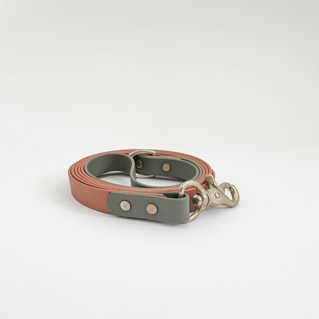 Two Tone Classic Leash
