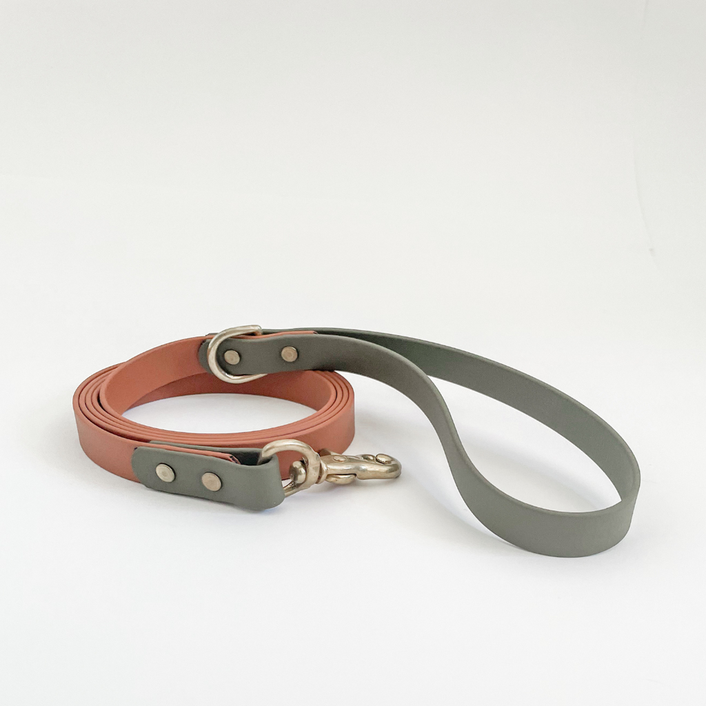 Two Tone Classic Leash