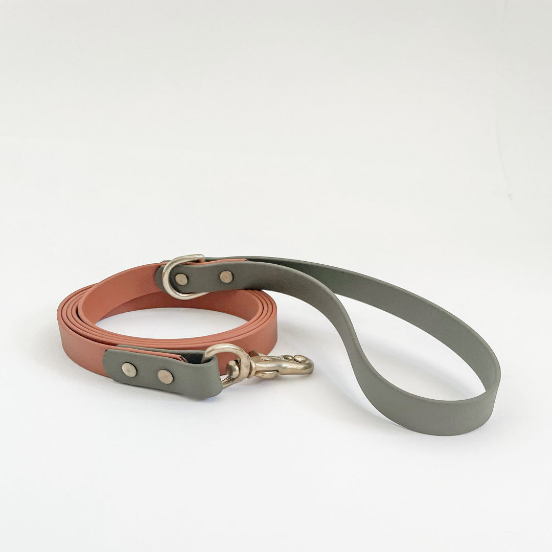 Two Tone Classic Leash