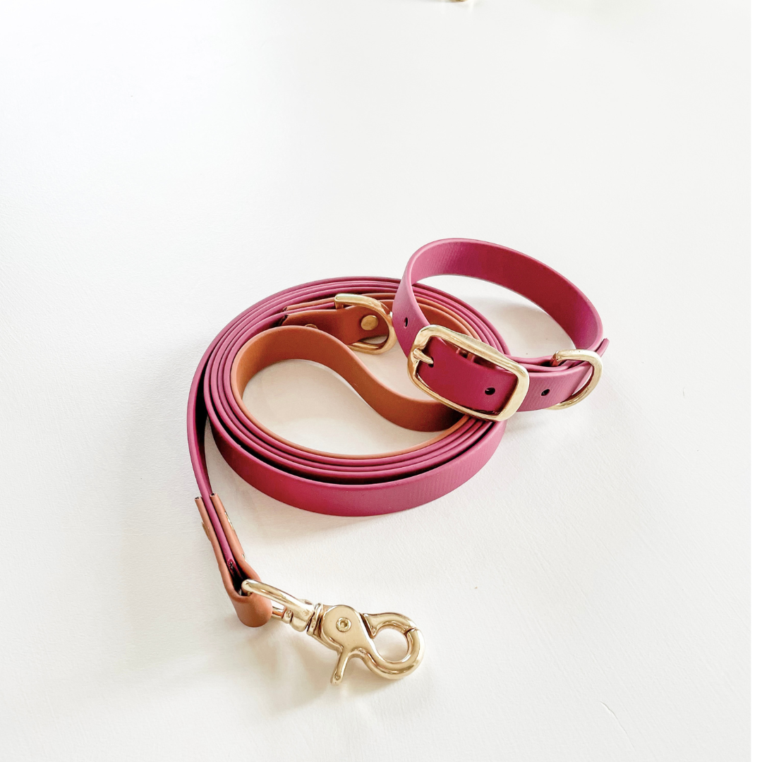 Two Tone Classic Leash